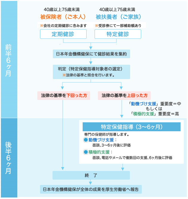 特定保健指導の流れ